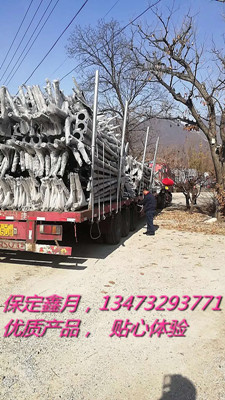 太阳能路灯,太阳能路灯厂家